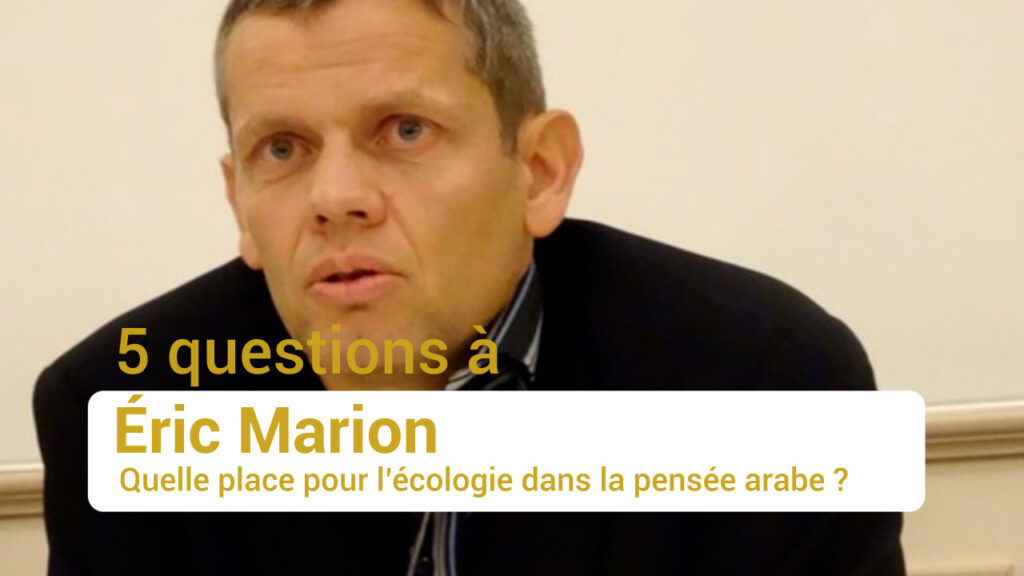 vignette 5 question Eric Marion