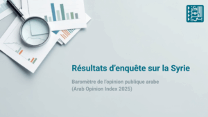 Visuel Arab Opinion Index
