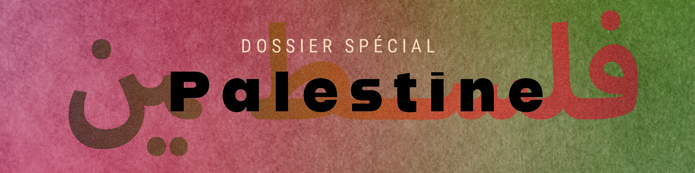 Dossier Palestine
